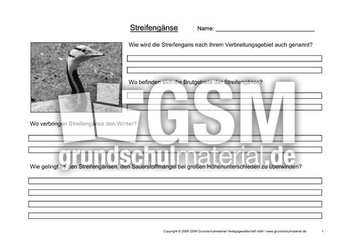 Arbeitsblatt-Streifengans-1.pdf